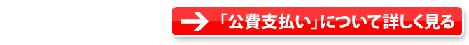 公費支払いについて