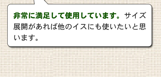 非常に満足して使用しています。サイズ展開があれば他のイスにも使いたいと思います。