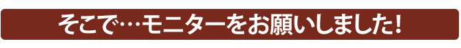 モニターをお願いしました