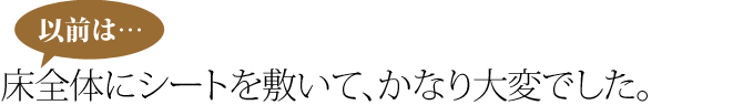 床全体にシートを敷いて、かなり大変でした。