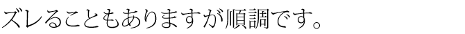 ズレるときもありますが順調です